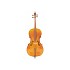 Beginner 4/4 Size Cello